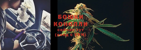 дживик Бронницы
