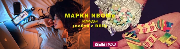 дживик Бронницы