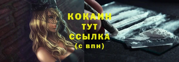 шишки Богородск