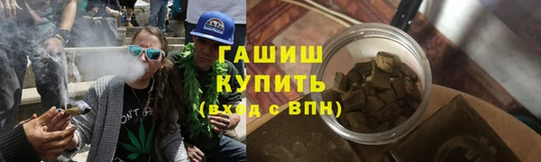 дживик Бронницы