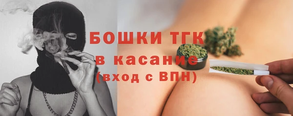 дживик Бронницы