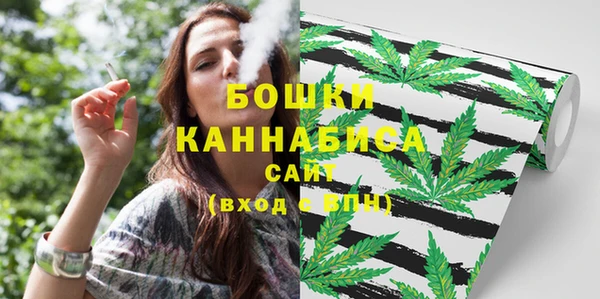 дживик Бронницы