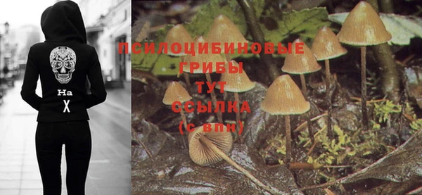 кристаллы Бугульма