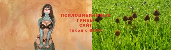 дживик Бронницы
