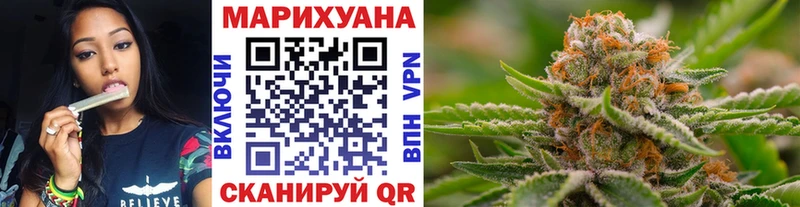 Купить закладки  Волхов  Бошки Шишки Ganja 